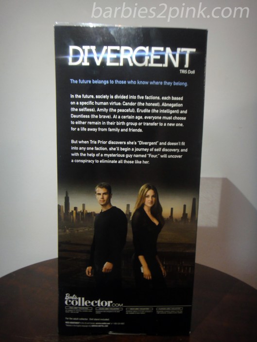 Parte detrás da caixa | Foto: Caori